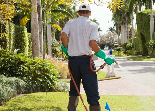 About Pipe Creek TX Pest Control